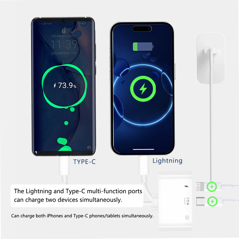 2 in 1 ライトニング Type C to USB OT - Wired Earphone Lightning のレビューと価格